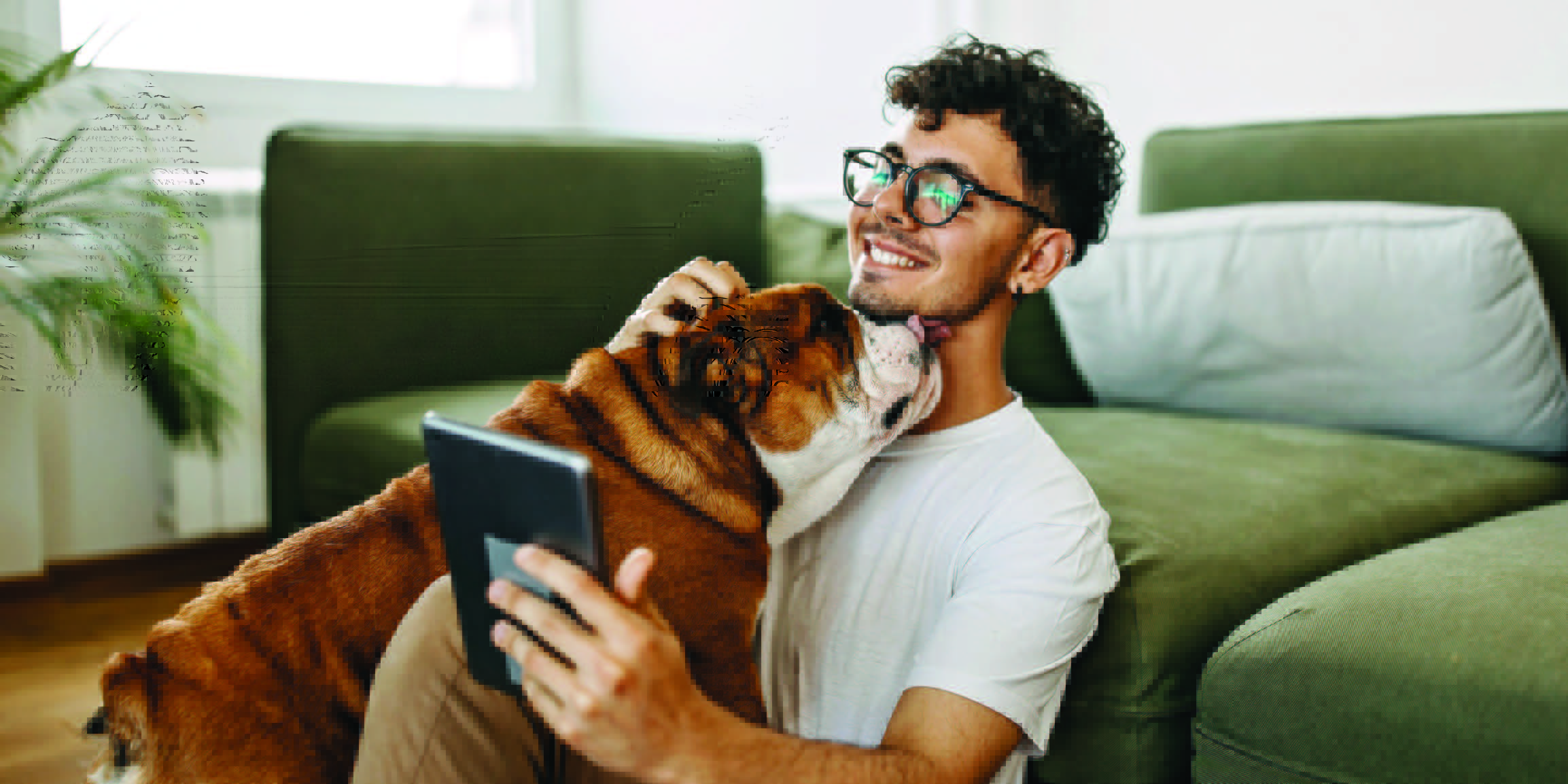 Can you have a pet in strata?