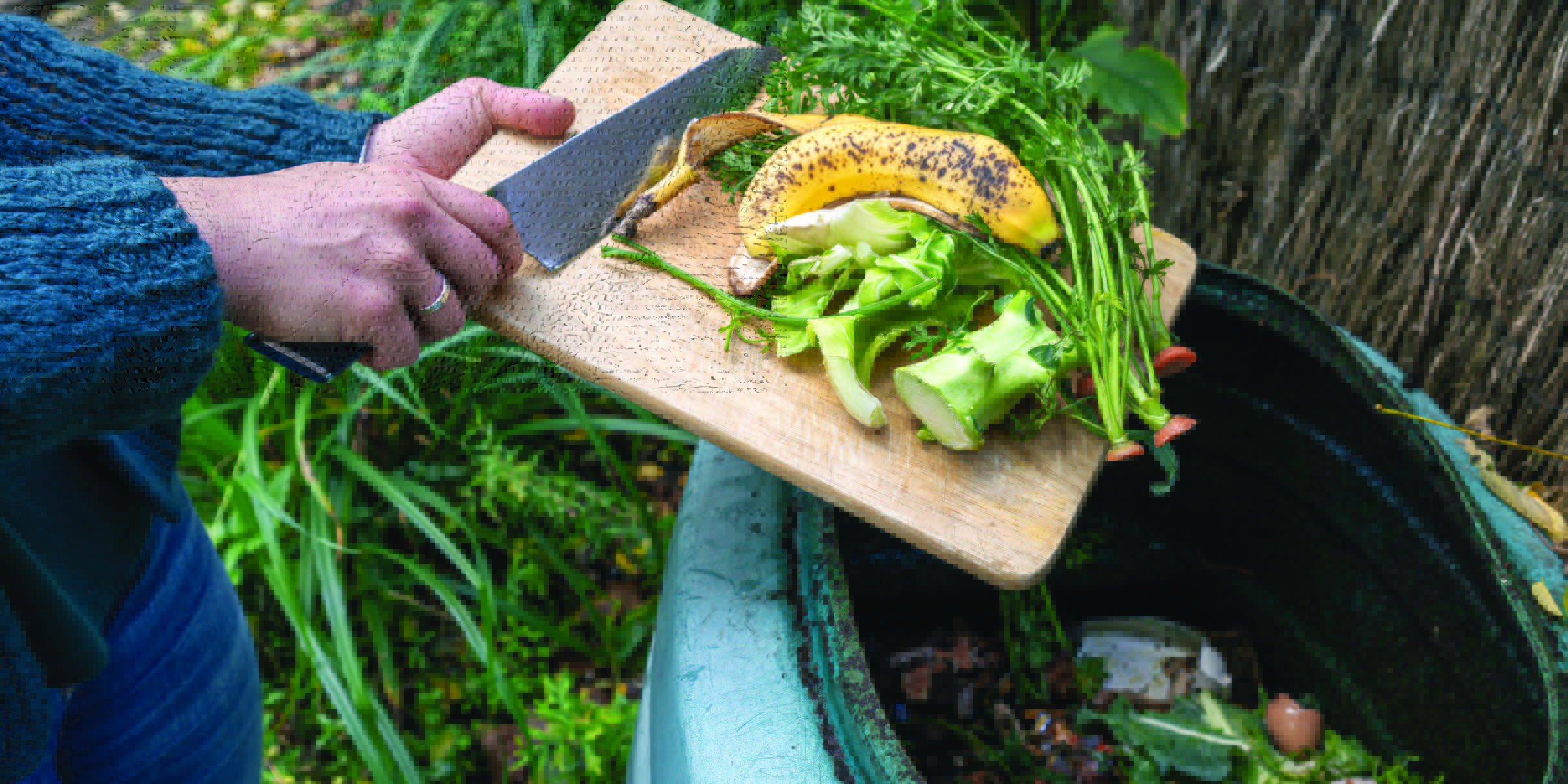Composting in strata and how to reduce waste and build community