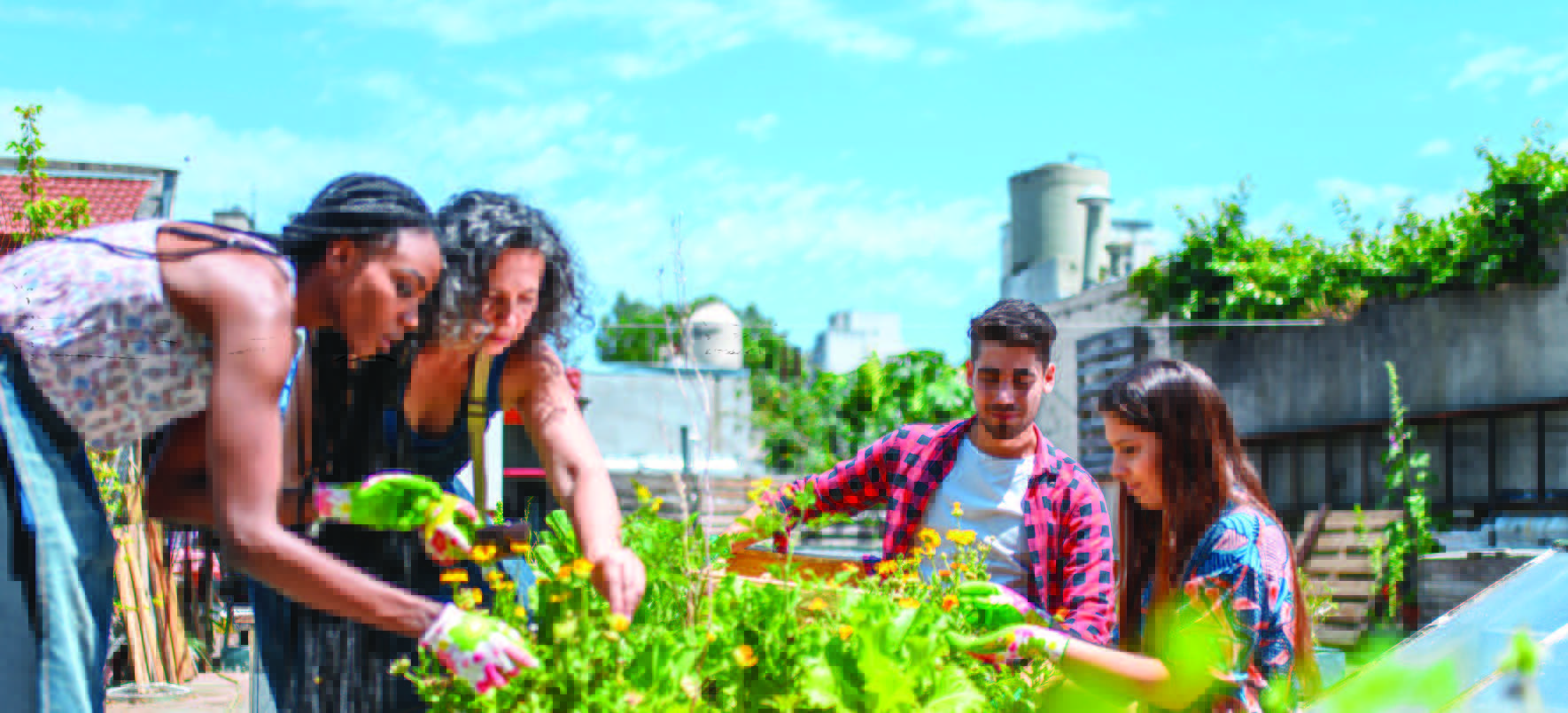 Green grants and sustainability funding and what’s available for your strata community